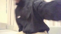 小宝寻花约了个颜值不错LV包包妹子啪啪，近距离特写口交后入大力抽插猛操