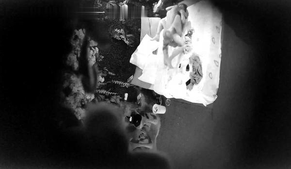 【360系列】【0808最新酒店偷拍】第二弹-现